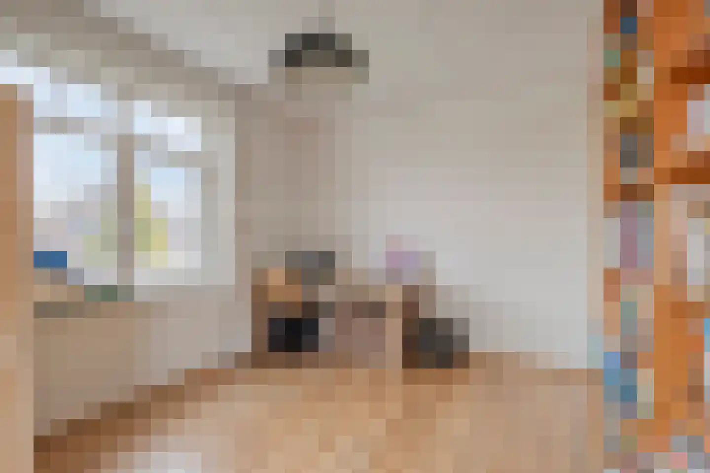 Ahnemstraat 15 Zwolle thumbnail 39