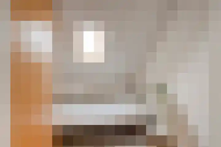 Ahnemstraat 15 Zwolle thumbnail 48