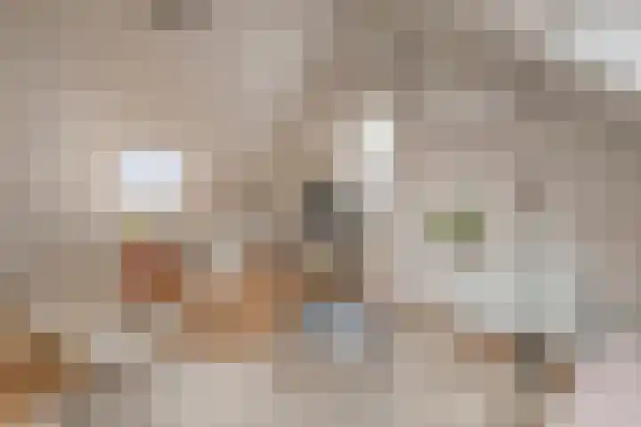 Ahnemstraat 15 Zwolle thumbnail 50