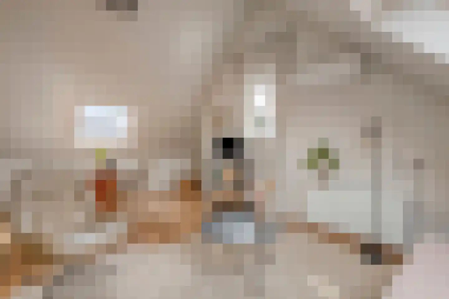 Ahnemstraat 15 Zwolle thumbnail 50