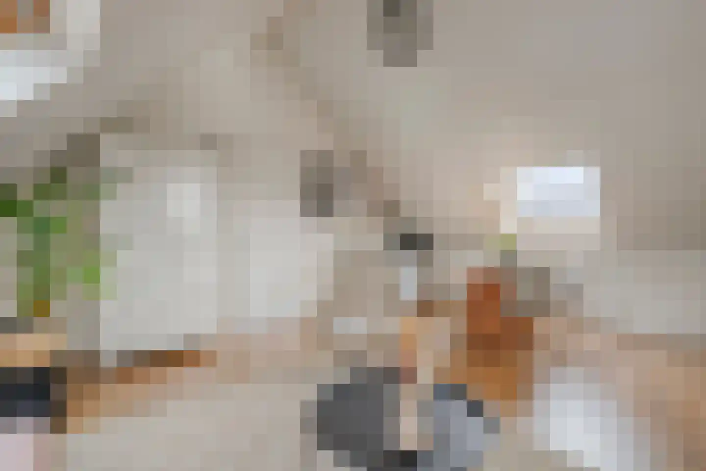 Ahnemstraat 15 Zwolle thumbnail 51