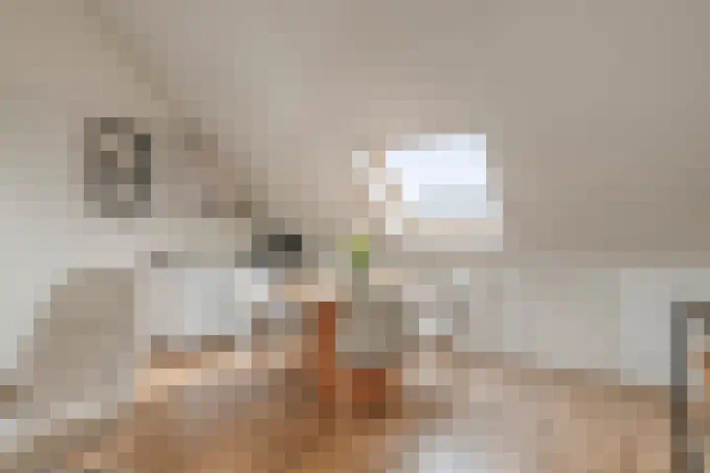 Ahnemstraat 15 Zwolle thumbnail 52