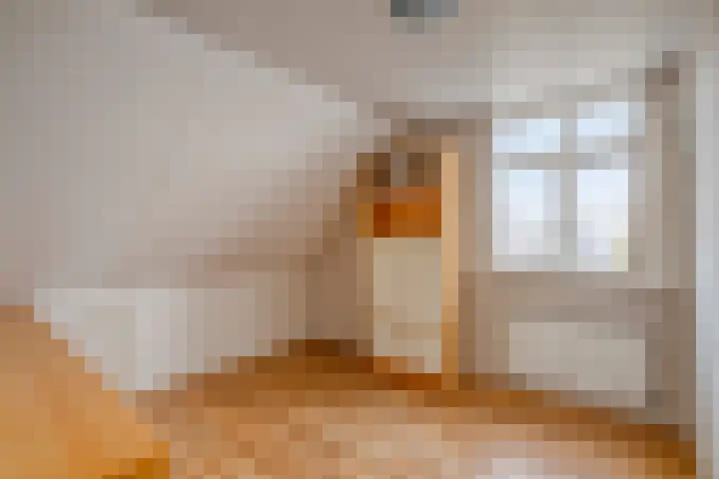 Ahnemstraat 15 Zwolle thumbnail 56