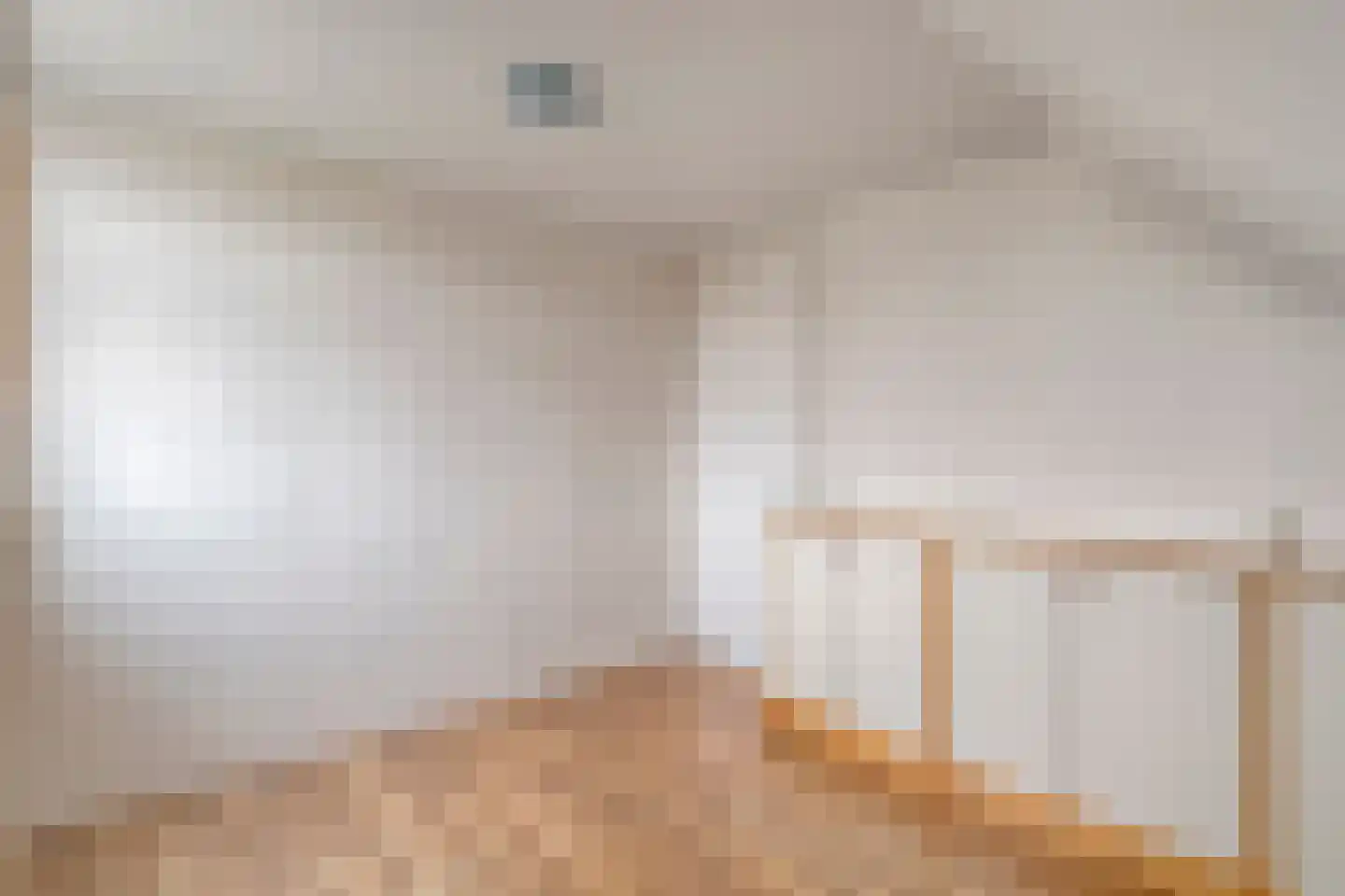 Ahnemstraat 15 Zwolle thumbnail 57