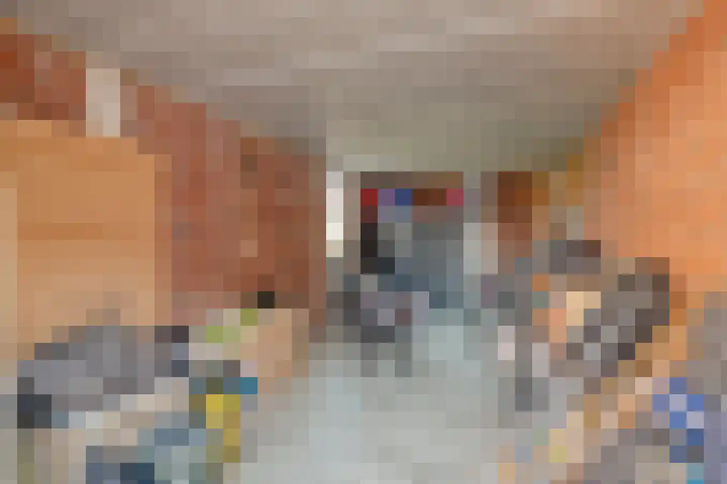 Ahnemstraat 15 Zwolle thumbnail 58