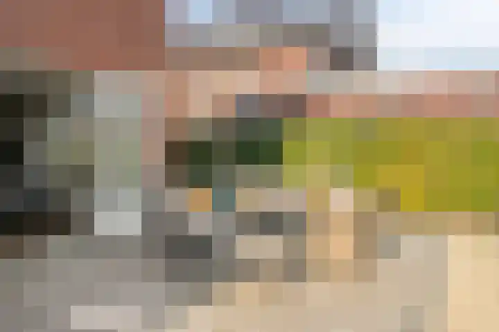 Ahnemstraat 15 Zwolle thumbnail 62