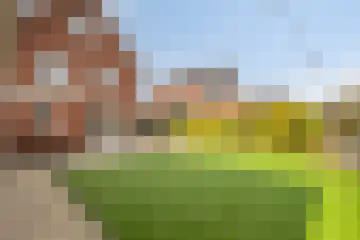 Ahnemstraat 15 Zwolle thumbnail 67