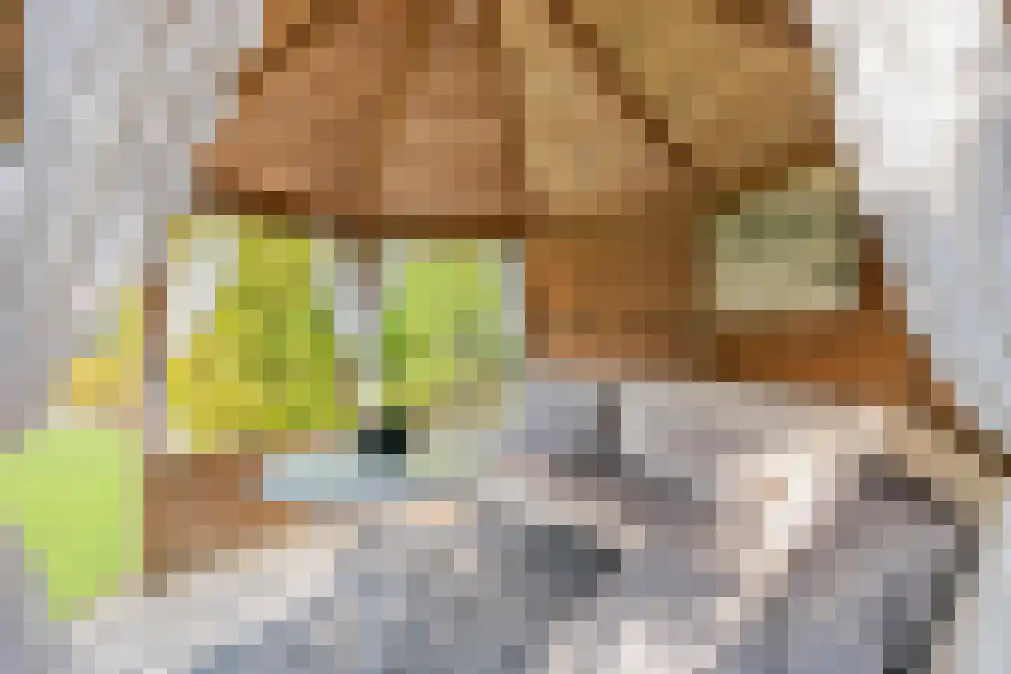 Ahnemstraat 15 Zwolle thumbnail 72