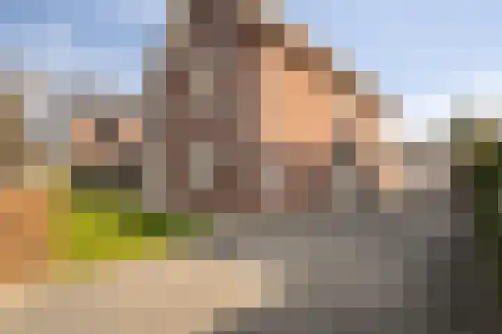 Ahnemstraat 15 Zwolle thumbnail 73