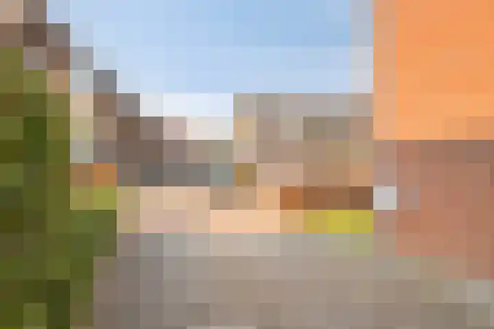 Ahnemstraat 15 Zwolle thumbnail 77