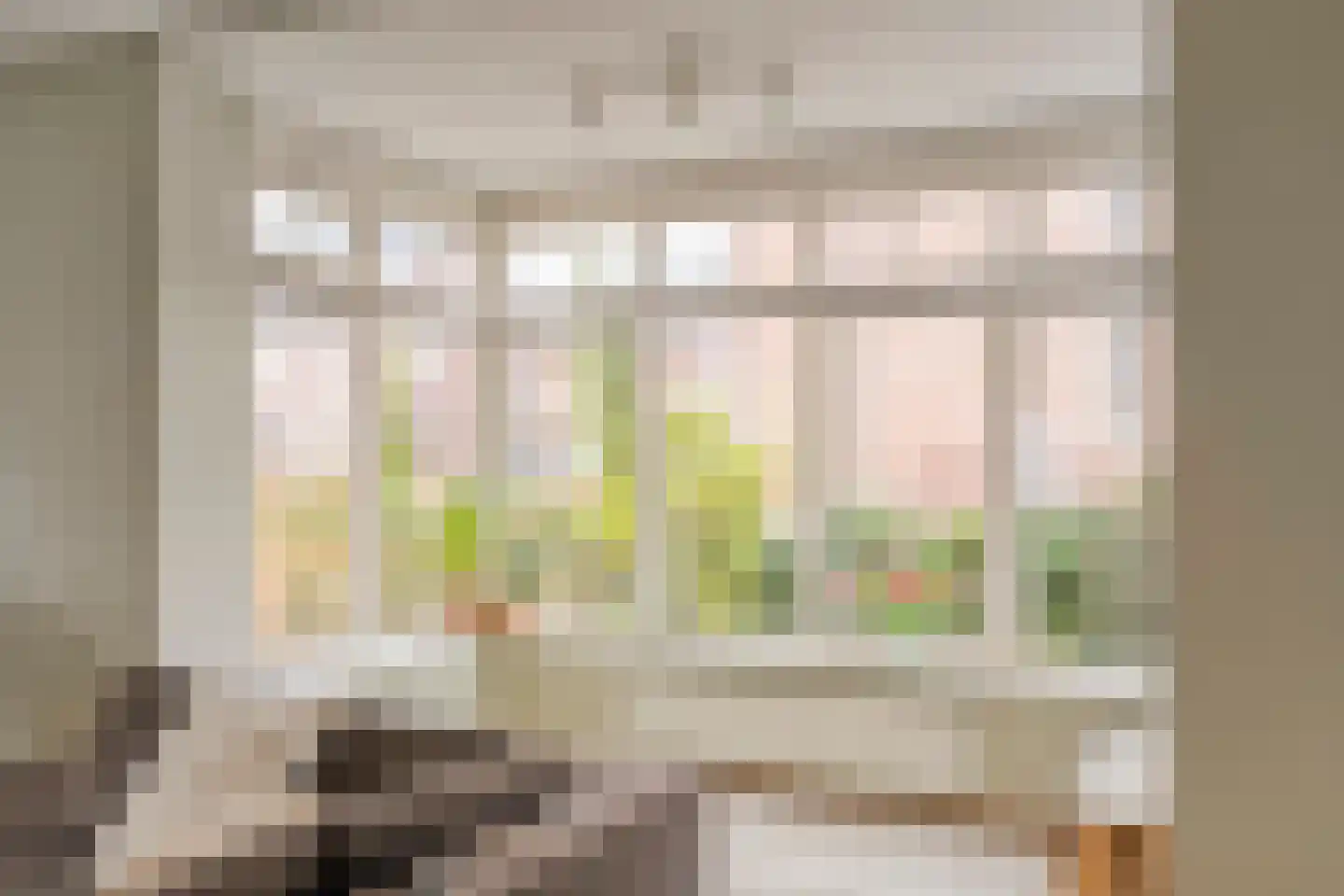 Ahnemstraat 15 Zwolle thumbnail 8