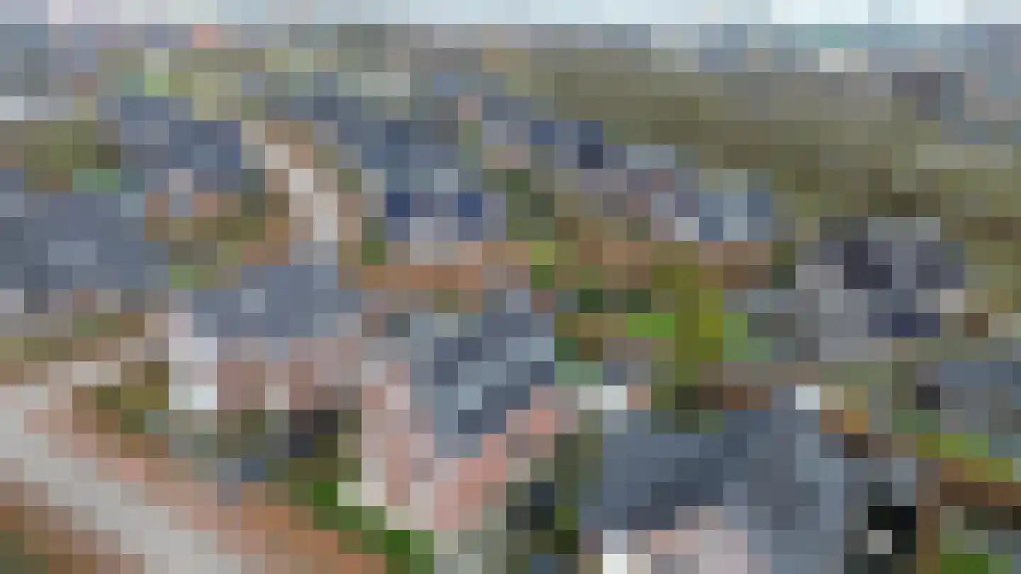 Ahnemstraat 15 Zwolle thumbnail 83
