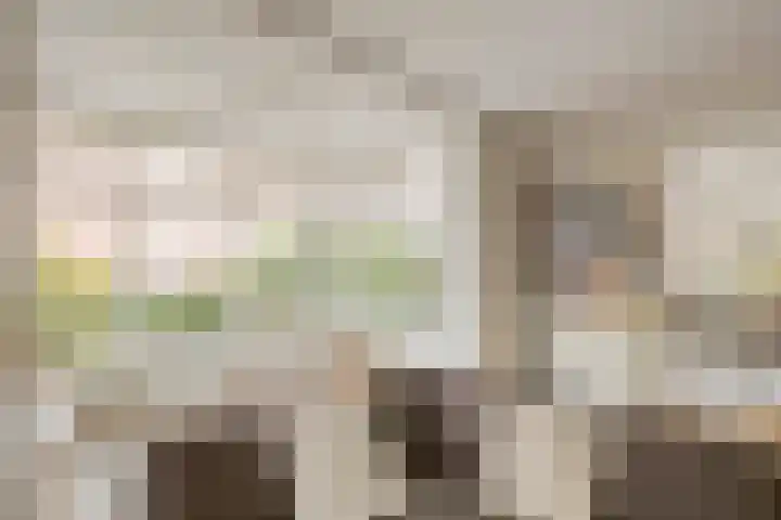 Ahnemstraat 15 Zwolle thumbnail 9