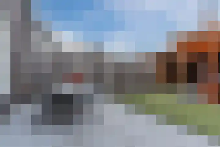 Ahorn 8 Mariahout thumbnail 18