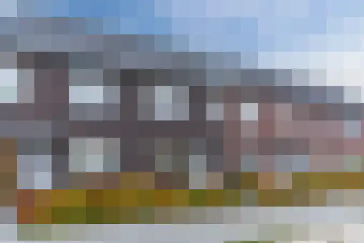 Ahorn 8 Mariahout thumbnail 6