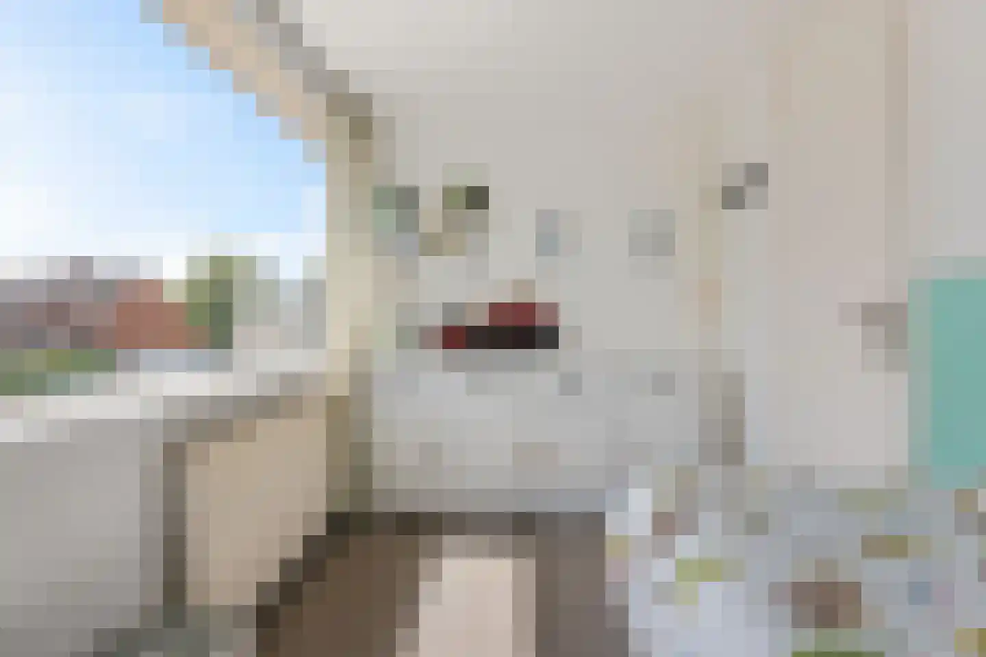 Ahornhage 18 Stadskanaal thumbnail 18