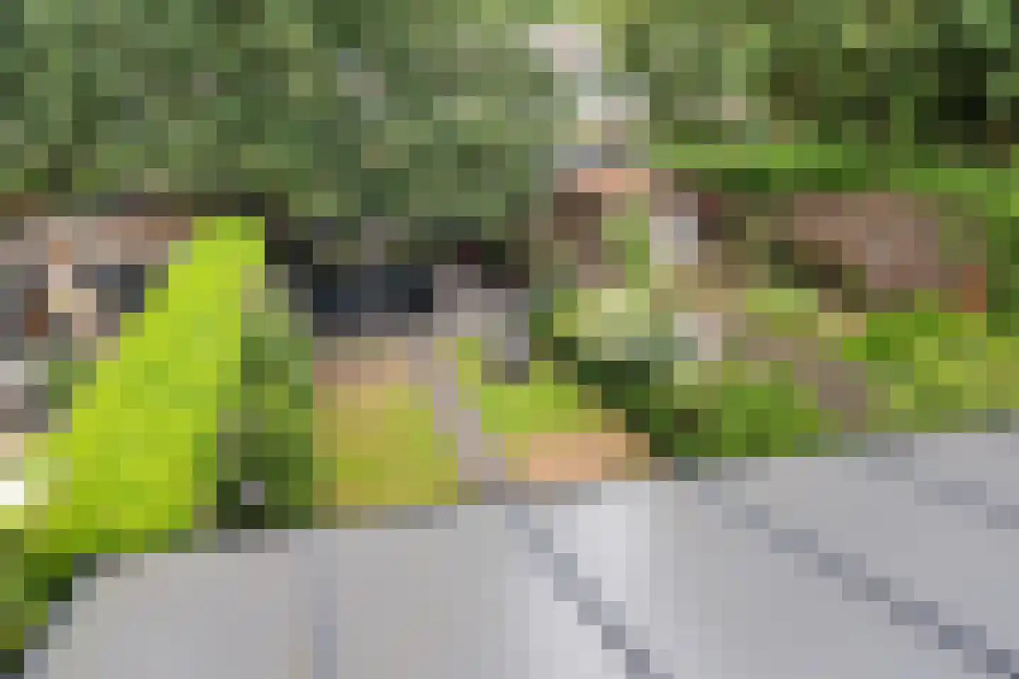 Ahornhage 18 Stadskanaal thumbnail 22