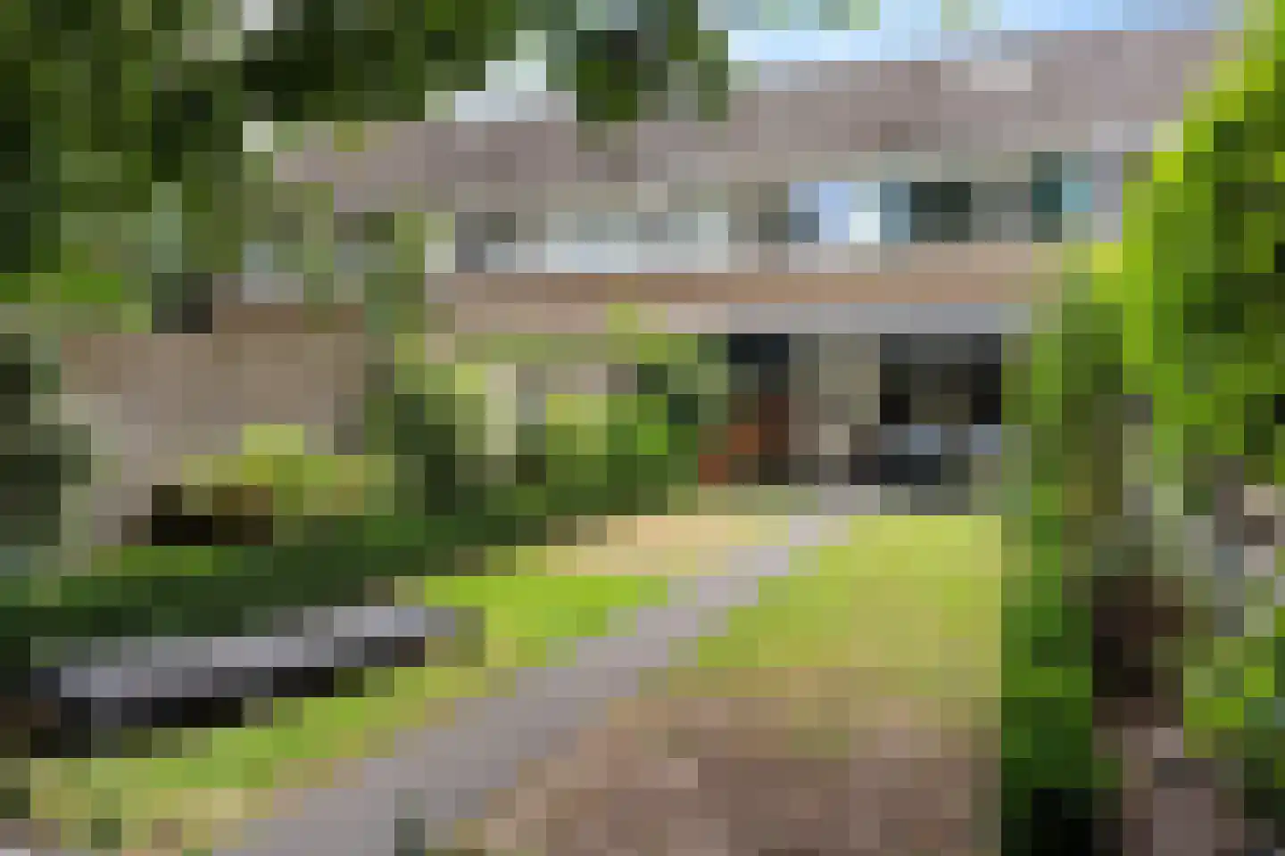 Ahornhage 18 Stadskanaal thumbnail 29