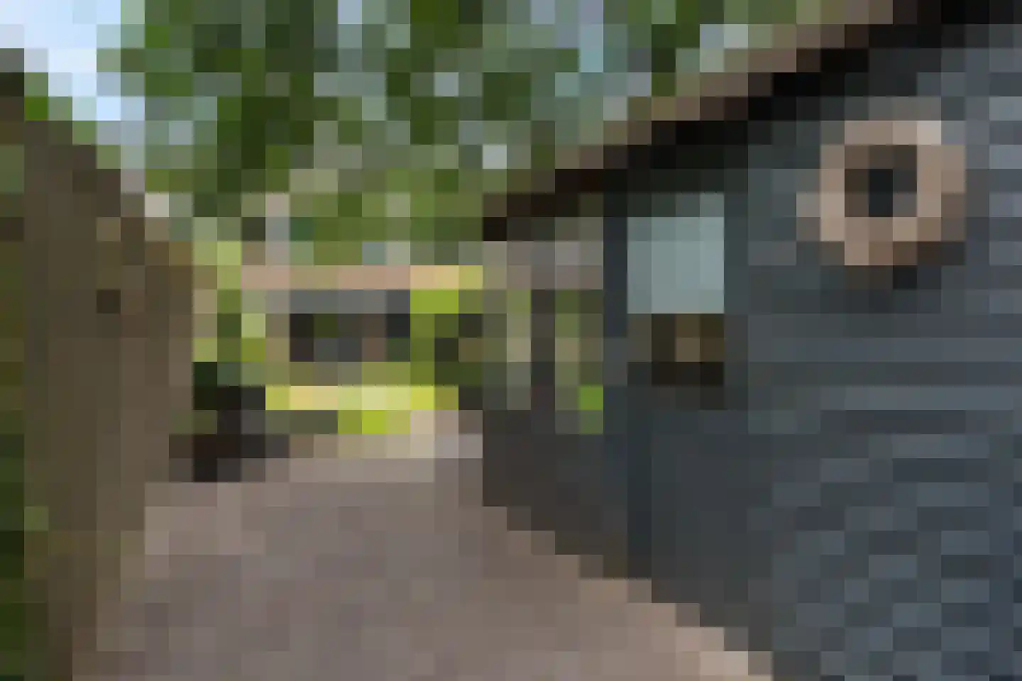 Ahornhage 18 Stadskanaal thumbnail 30