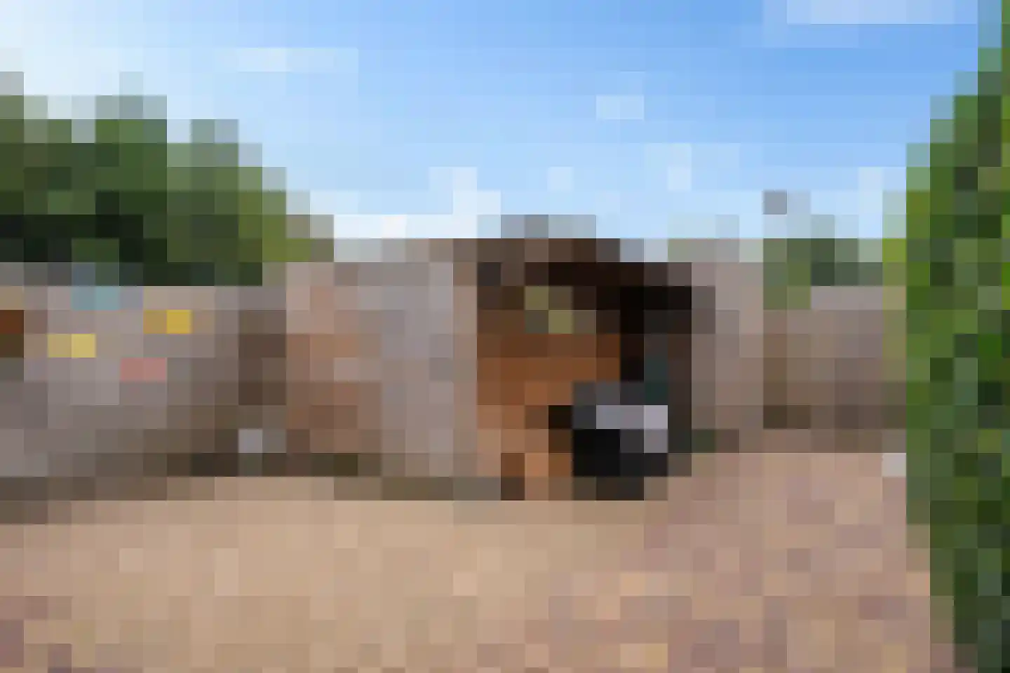 Ahornhage 18 Stadskanaal thumbnail 32