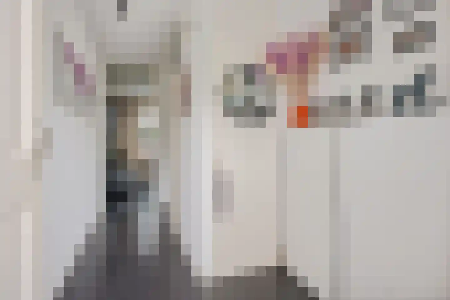 Ahornhage 18 Stadskanaal thumbnail 8