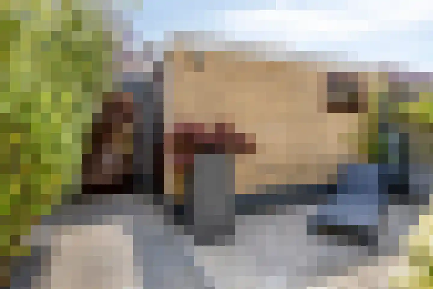 Ahornlaan 10 Heerhugowaard thumbnail 36