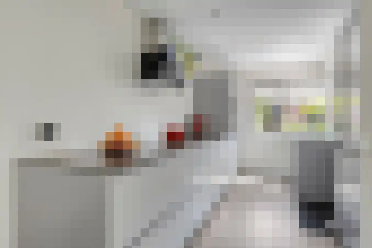 Ahornlaan 10 Heerhugowaard thumbnail 4