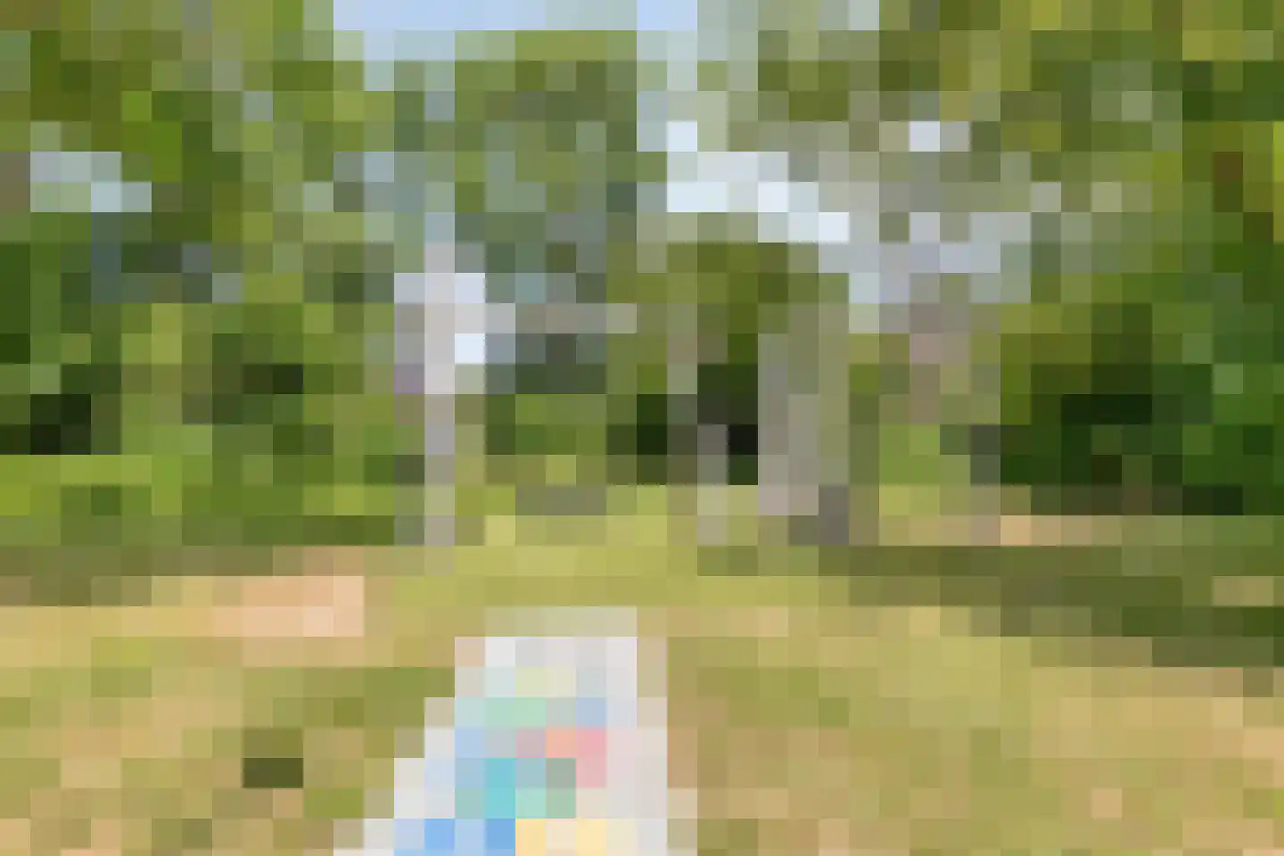 Ahornlaan 10 Heerhugowaard thumbnail 43