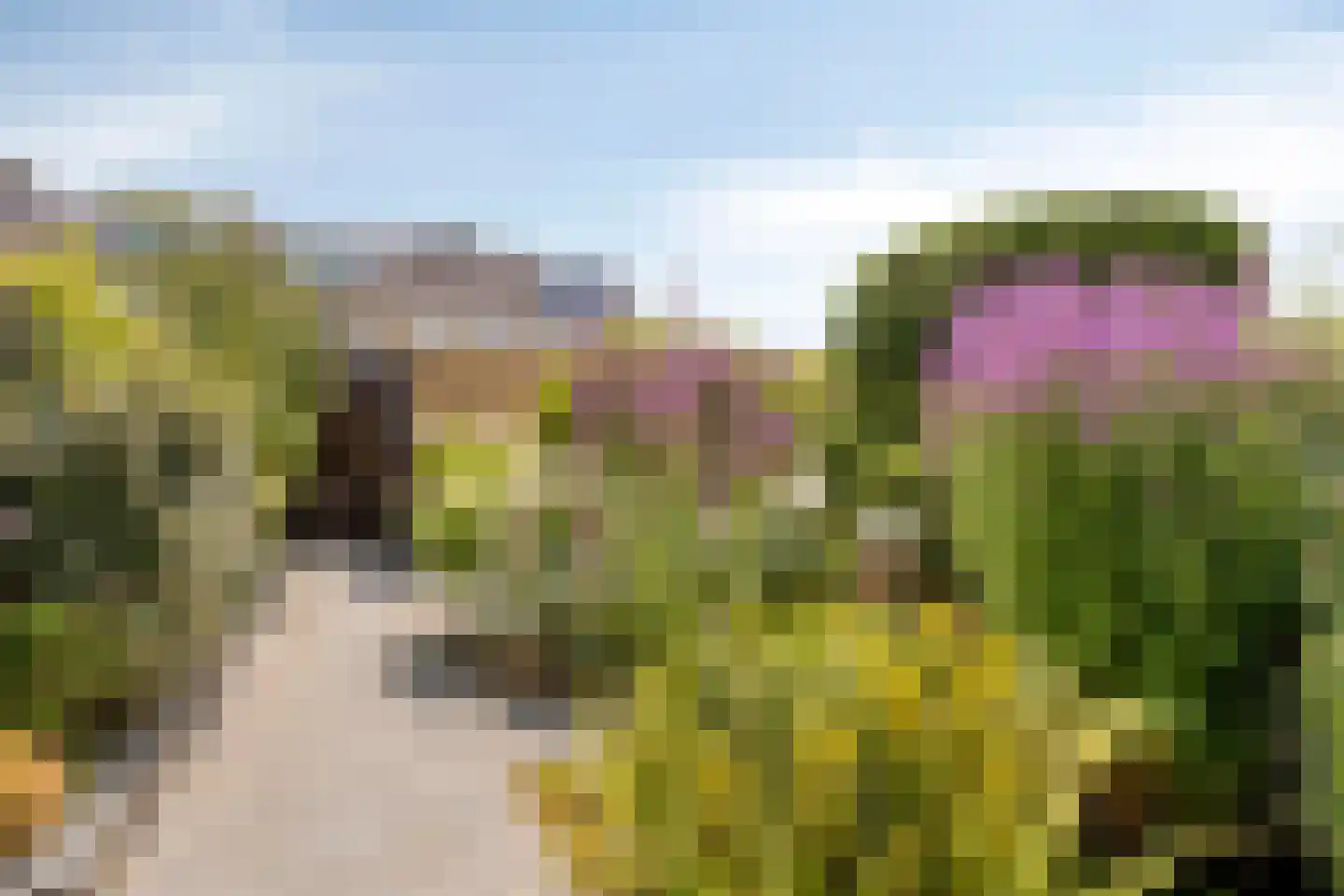 Ahornlaan 10 Heerhugowaard thumbnail 5