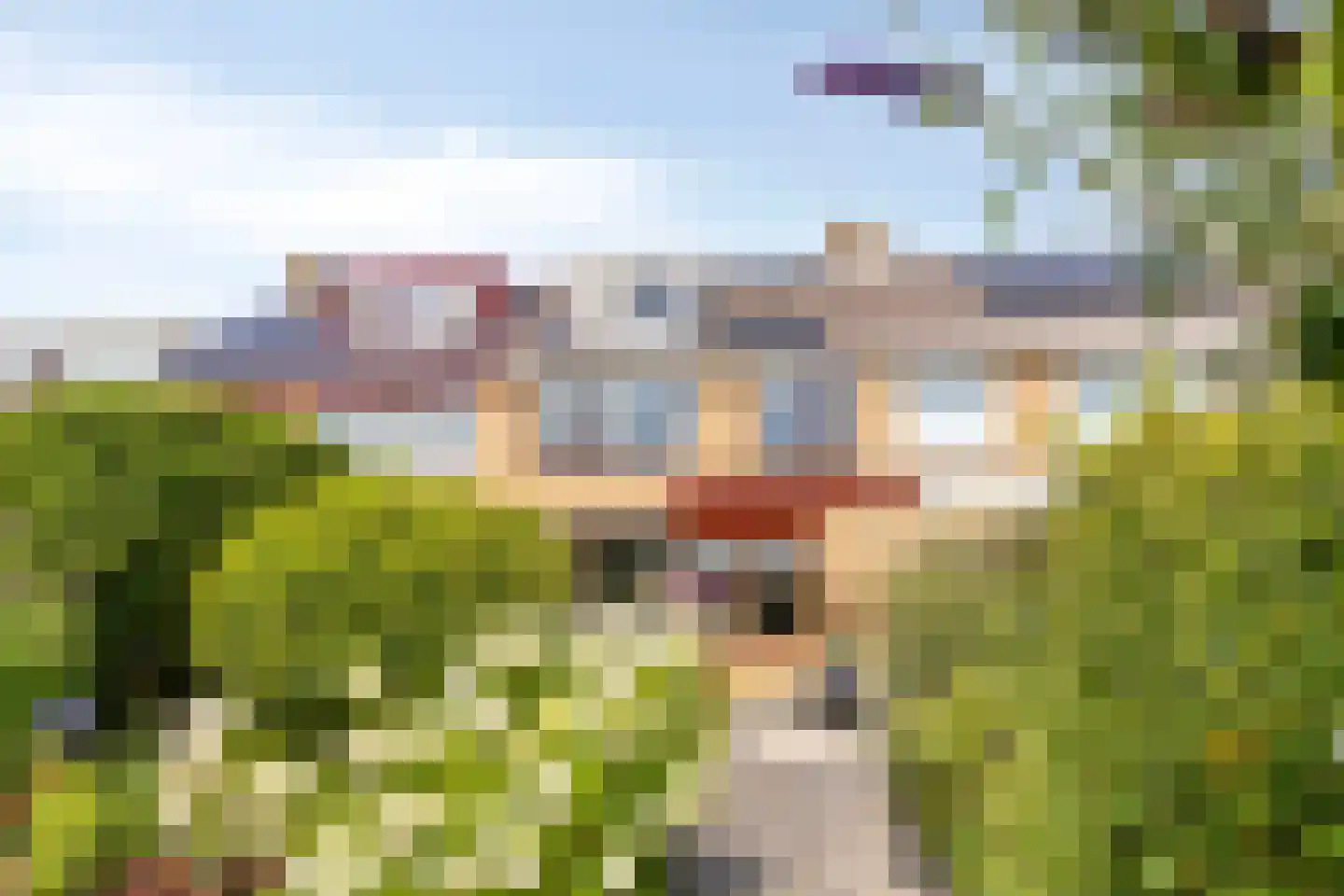 Ahornlaan 10 Heerhugowaard thumbnail 6