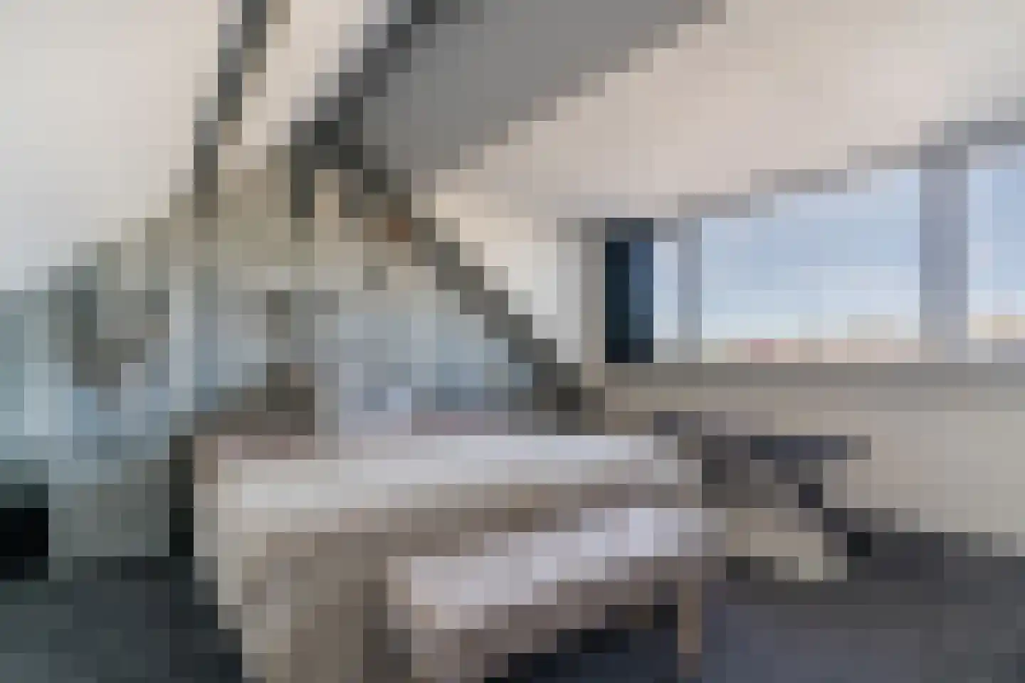 Ahornlaan 11 Heerhugowaard thumbnail 25
