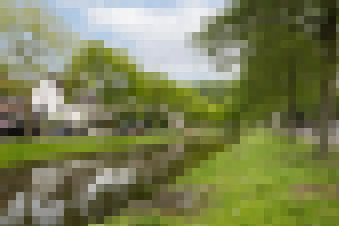 Ahornlaan 23 Rotterdam thumbnail 19