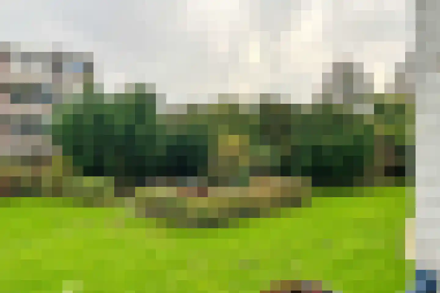 Ahornlaan 24 Rotterdam thumbnail 10