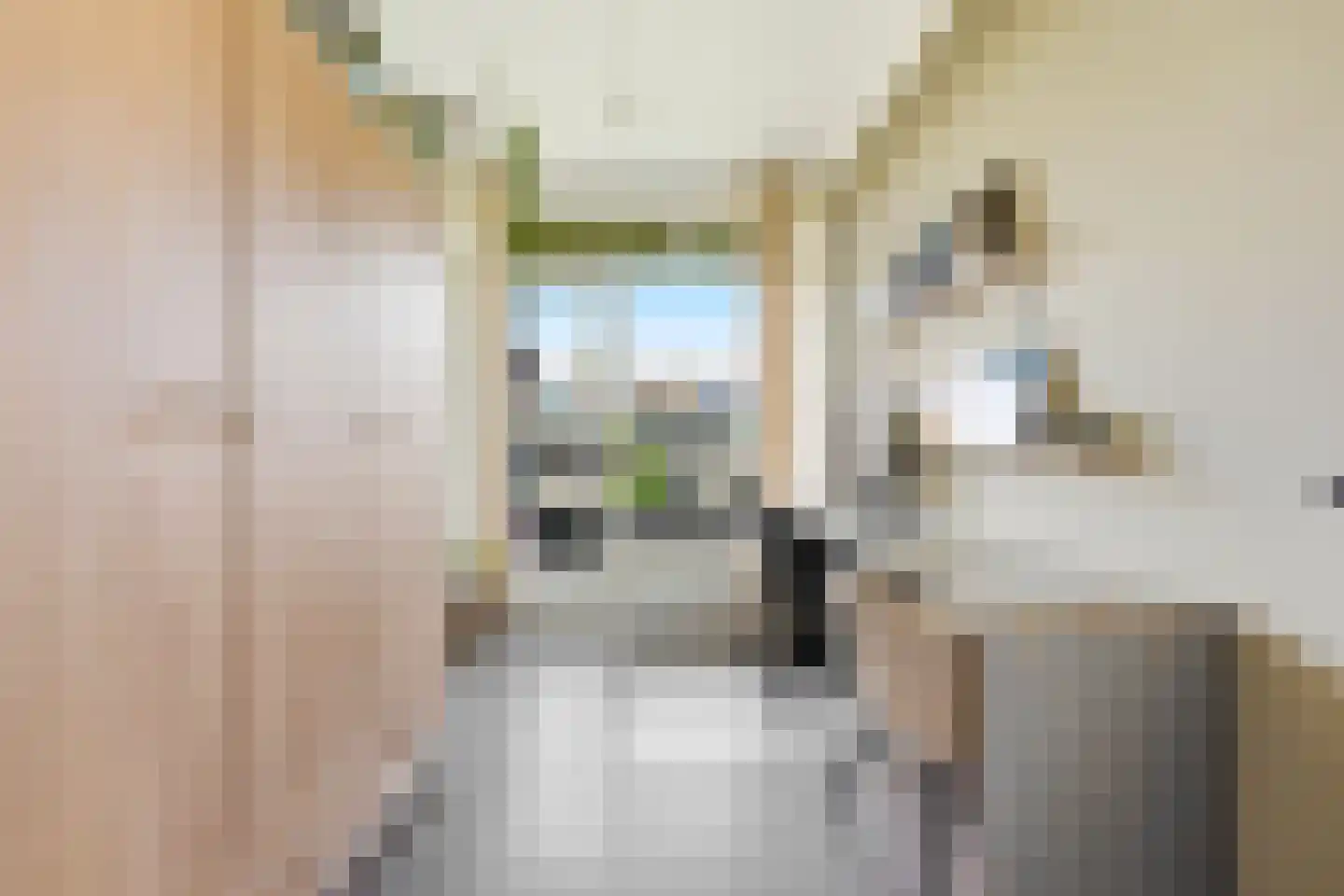 Ahornlaan 26 Rotterdam thumbnail 19