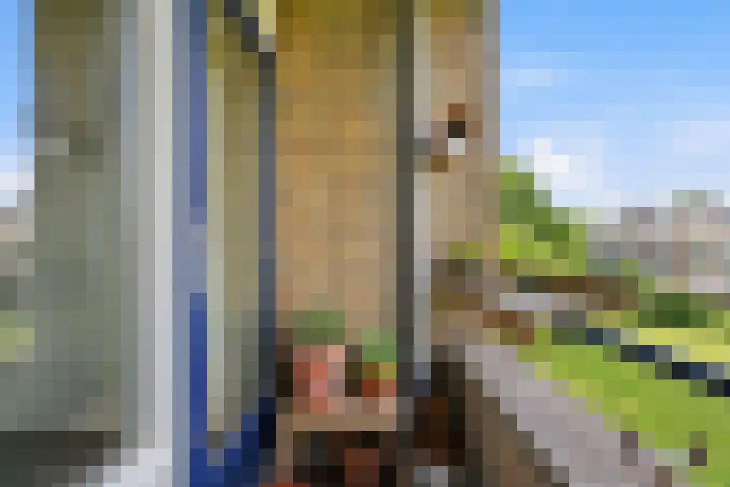 Ahornlaan 26 Rotterdam thumbnail 22