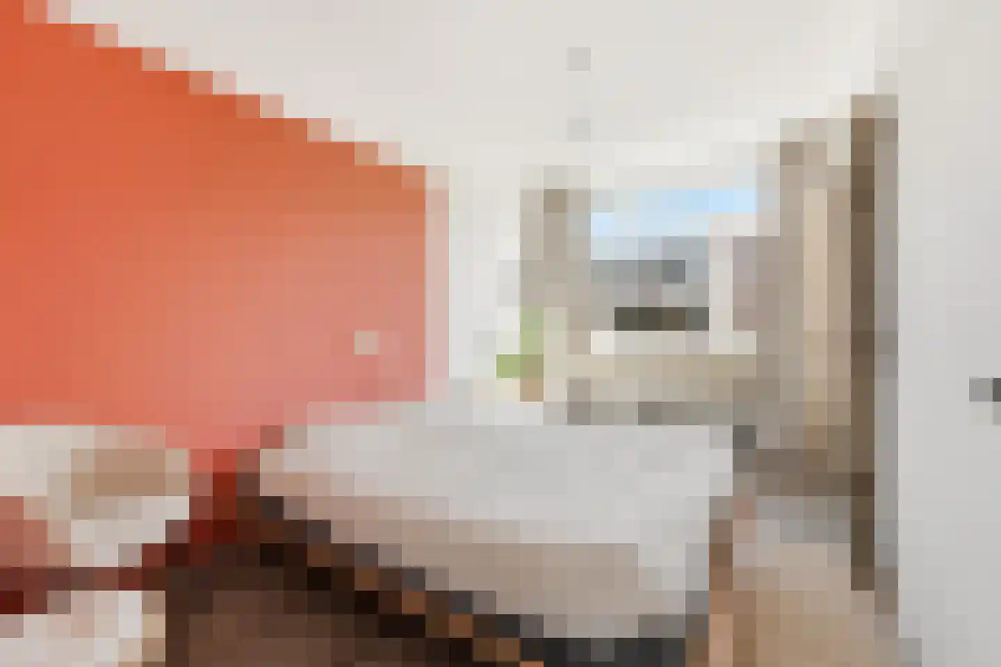 Ahornlaan 26 Rotterdam thumbnail 25