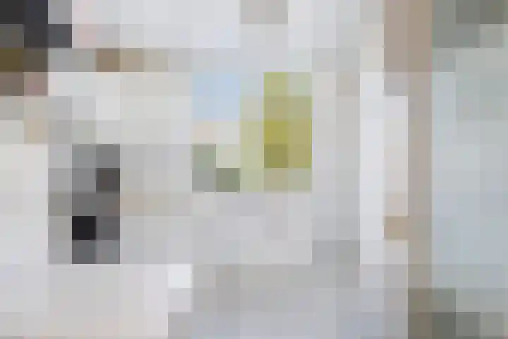 Ahornlaan 48 Rotterdam thumbnail 13