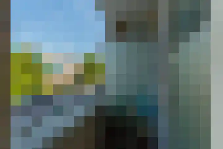 Ahornlaan 48 Rotterdam thumbnail 26