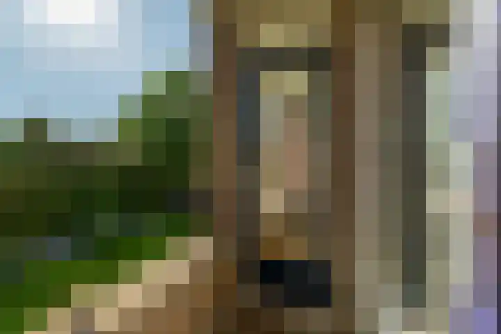 Ahornlaan 48 Rotterdam thumbnail 28