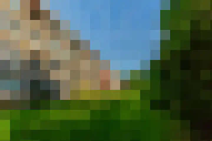Ahornlaan 48 Rotterdam thumbnail 32