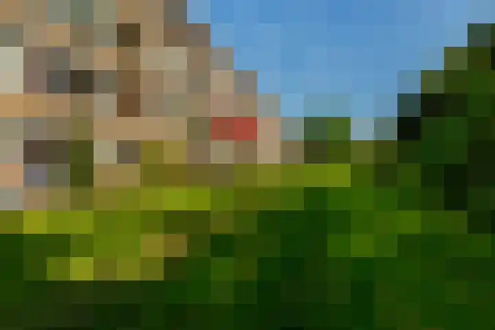Ahornlaan 48 Rotterdam thumbnail 33