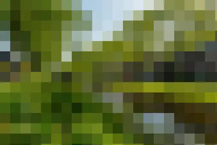 Ahornlaan 48 Rotterdam thumbnail 37