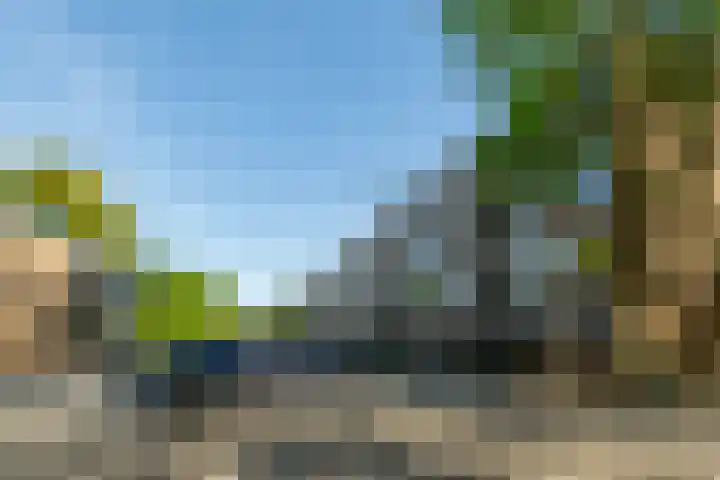Ahornlaan 48 Rotterdam thumbnail 40