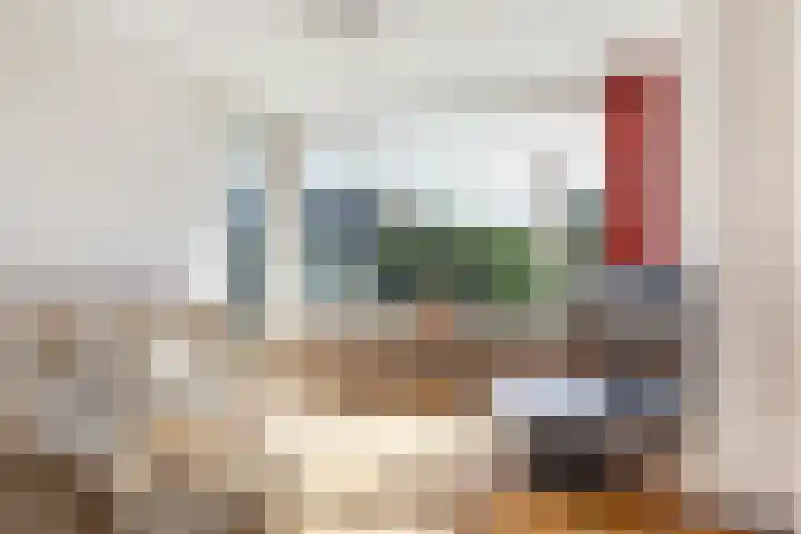 Ahornlaan 48 Rotterdam thumbnail 8