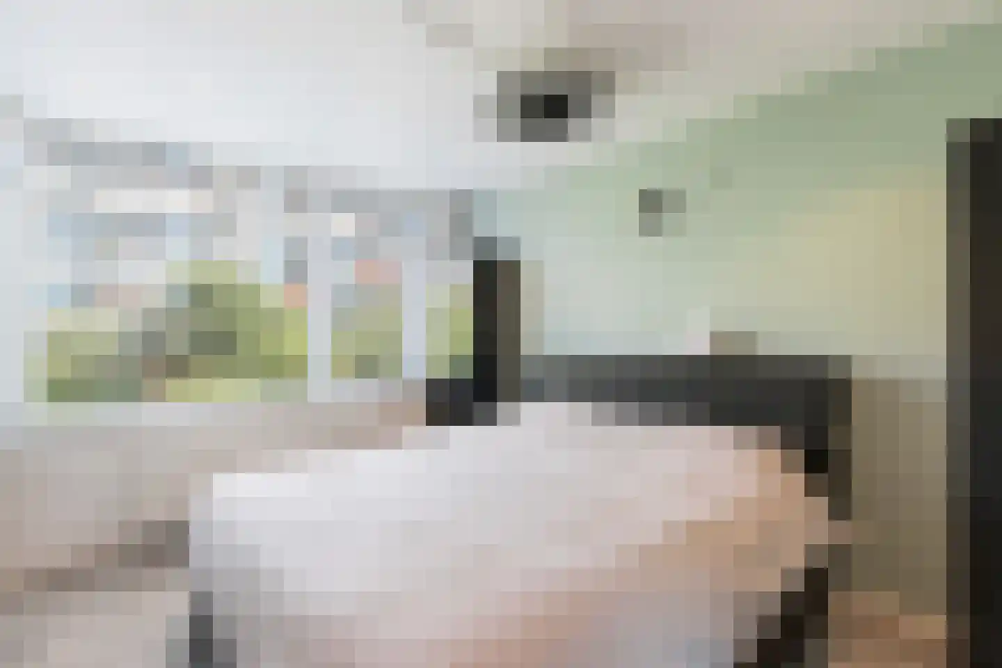 Ahornlaan 51 Rotterdam thumbnail 15