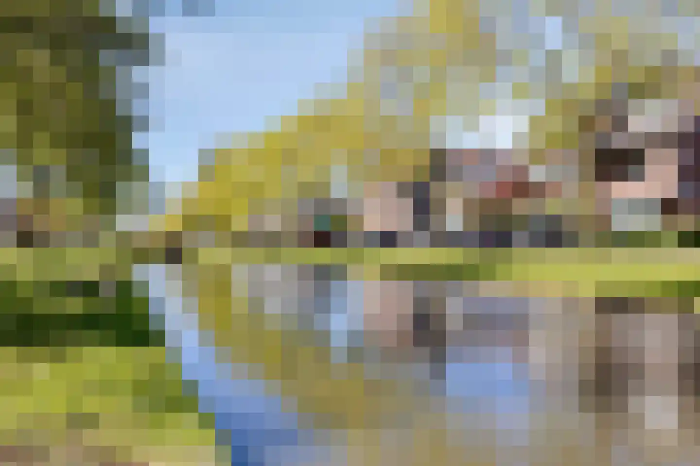 Ahornlaan 67 Rotterdam thumbnail 29