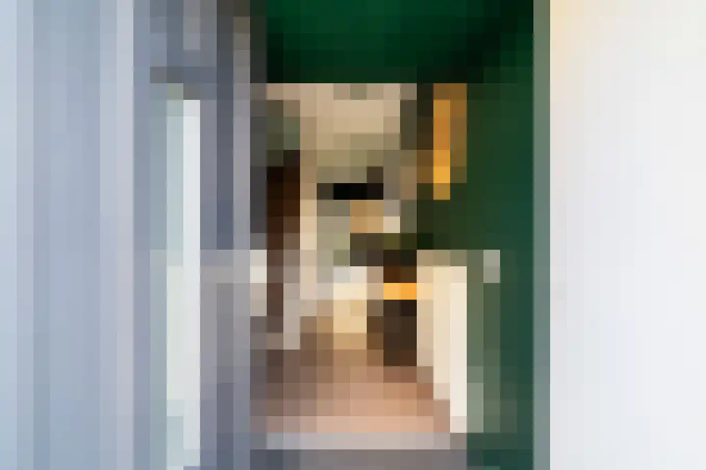 Ahornplein 1 's-Gravenzande thumbnail 13