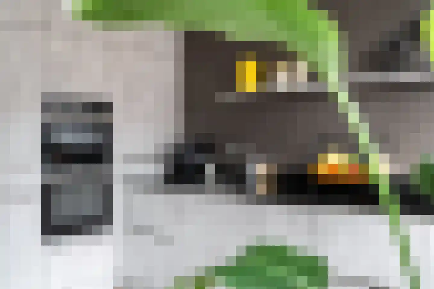 Ahornplein 1 's-Gravenzande thumbnail 23
