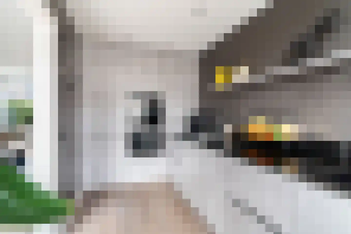 Ahornplein 1 's-Gravenzande thumbnail 25