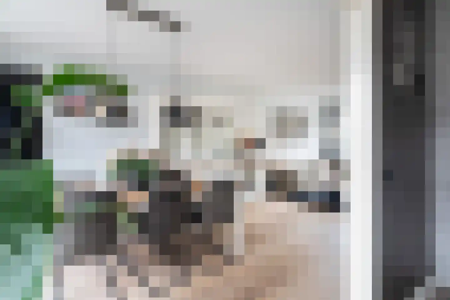 Ahornplein 1 's-Gravenzande thumbnail 28